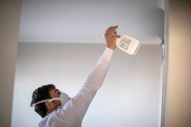 Best Office Mold Removal Services  in St Charles, MN