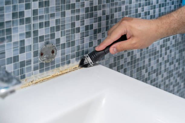 Best Mold Testing  in St Charles, MN
