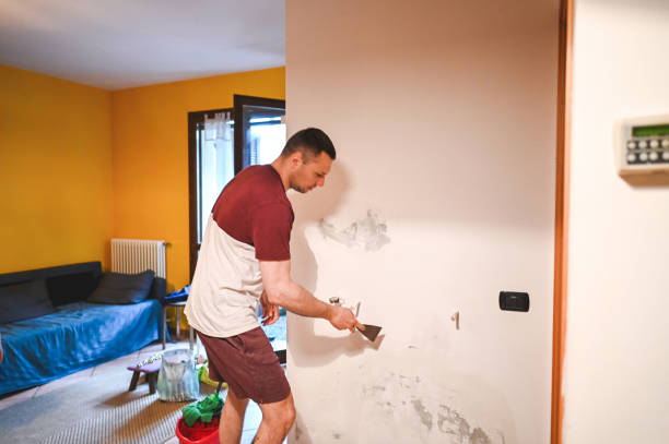 Best Affordable Mold Removal  in St Charles, MN